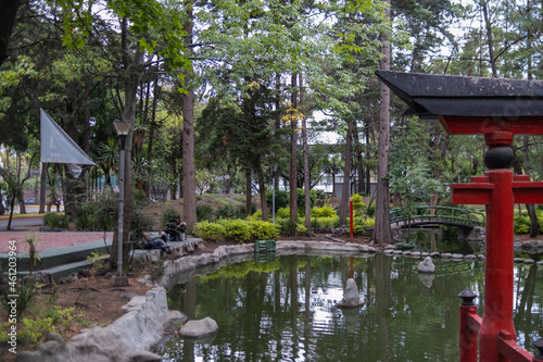 Traditional Japanese gate and pond in Masayoshi Ohira Park photo