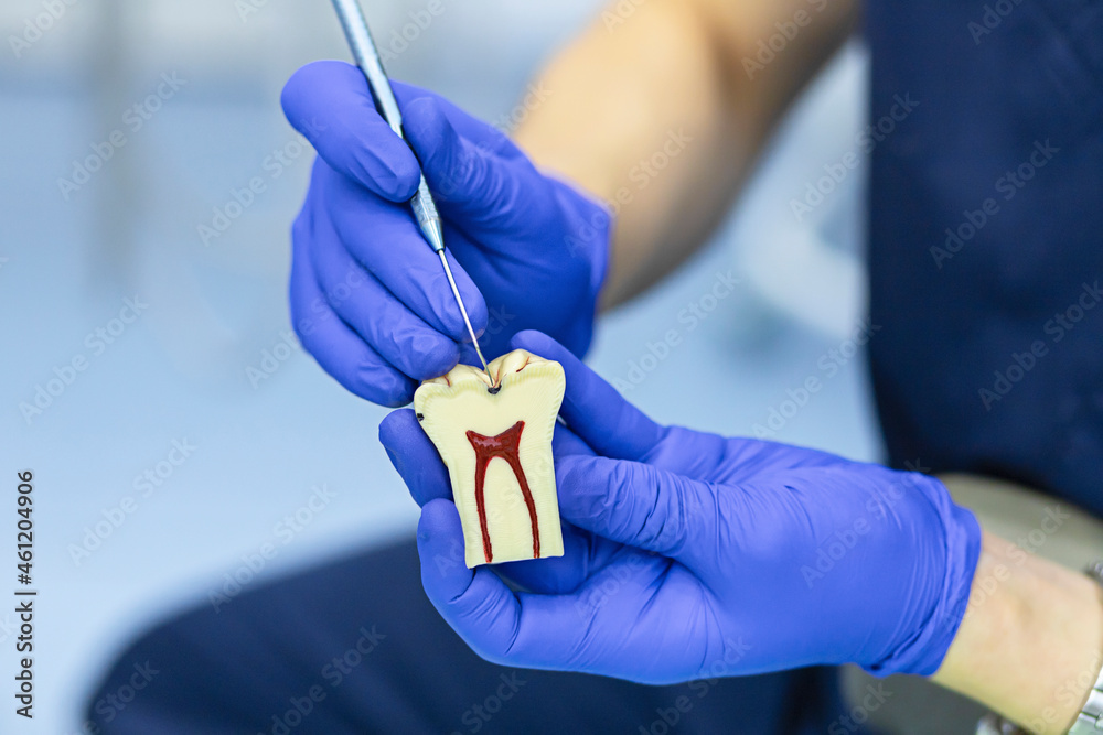 training, education, practicing dentist work. demonstration different