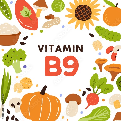 Natural food card with B9 vitamin rich nutrition. Organic healthy nutrients enriched with folate. Colorful flat vector illustration of folic acid sources, nutritious mushrooms, vegetables and nuts