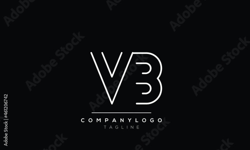 Abstract Letter Initial VB BV Vector Logo Design Template
