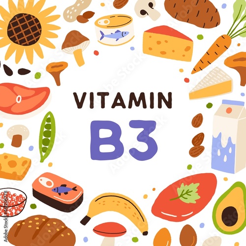 B3, health card with vitamin-rich natural food. Healthy nutrition enriched with niacin B 3. Circle frame of organic mineral nutrients with nicotinic acid. Colorful flat vector illustration