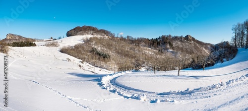 beautiful sunny cityscape with forest and ruins of Froburg in the background.