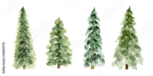 Pine trees collection of 4, evergreen winter tree for holiday greeting graphic design, hand painted watercolor isolated on white background photo