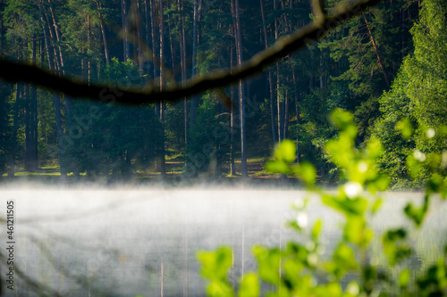 Fog on a lake at morning in the forest
