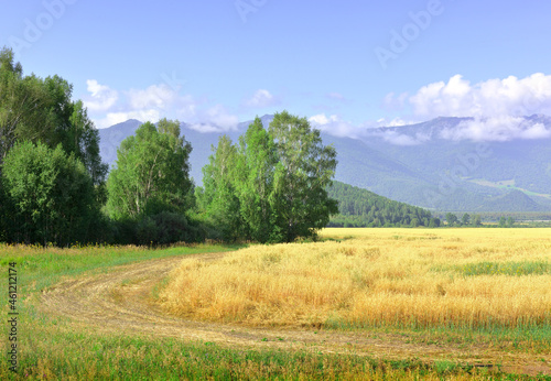 Uymon valley in the Altai mountains