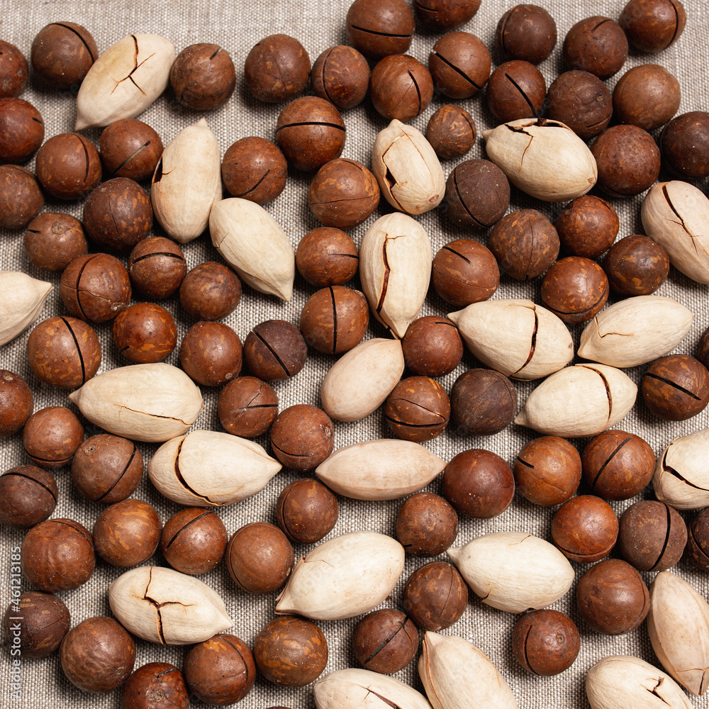 Top view of background of macadamia and pecan nuts in shell scattered on linen surface Top view of background of macadamia and pecan nuts in shell scattered on linen surface