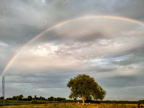 A rainbow over the field in the sky after rain looks beautiful.