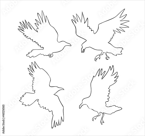 Set of realistic raven vector silhouettes for icons. Hand drawn style
