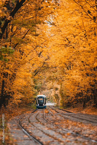 Tram in the autumn forest