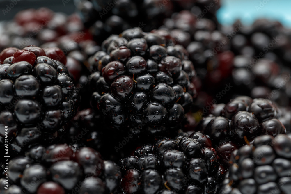 Ripe fresh blackberries, an abstract background of blackberries. Top view. Close-up. Macro. Blackberry berries with water drops. Flat lay. Useful forest fruits. Super food. Concept of healthy eating Ripe fresh blackberries, an abstract background of blackberries. Top view. Close-up. Macro. Blackberry berries with water drops. Flat lay. Useful forest fruits. Super food. Concept of healthy eating