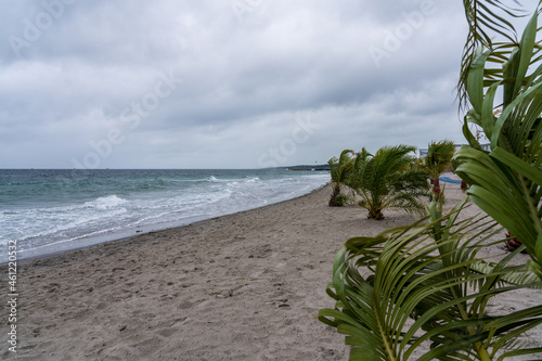 Fototapeta Naklejka Na Ścianę i Meble -  Tropical beach with palm trees in Helsingborg, Sweden.