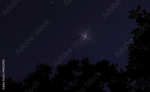 One bright Christmas star rising over a line of trees