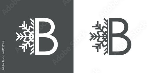 Logotipo letra B con silueta de copo de nieve en fondo gris y fondo blanco photo