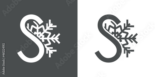 Logotipo letra S con silueta de copo de nieve en fondo gris y fondo blanco photo