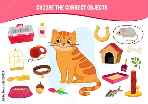 Educational game for children. Cartoon cute cat. Choose the correct objects. 