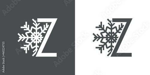 Logotipo letra Z con silueta de copo de nieve en fondo gris y fondo blanco