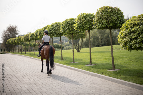 Back view of female horseman riding brown Thoroughbred horse on pavement near green garden in countryside. Concept of rural resting and leisure. Idea of green tourism. Sunny daytime