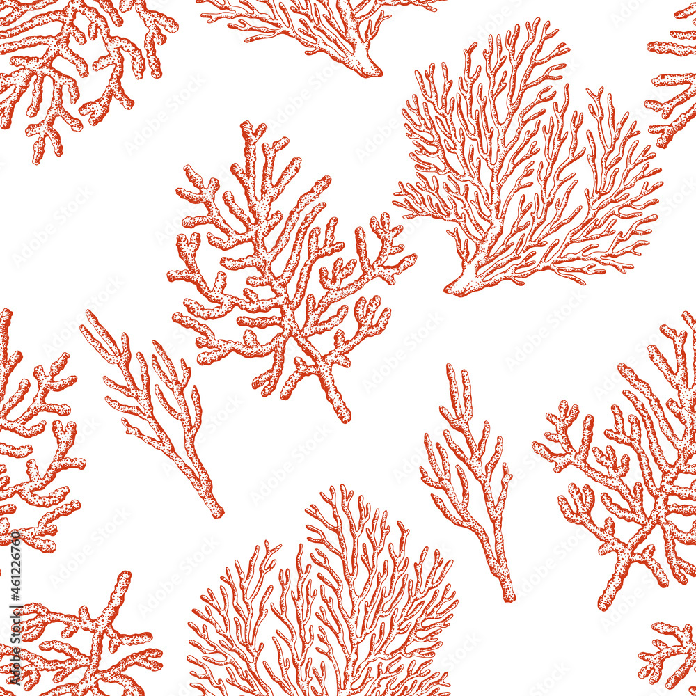 Coral reefs seamless pattern on a white background. Vector background.