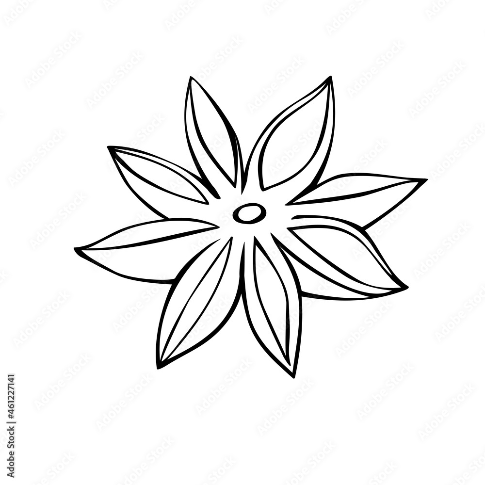 Hand drawn vector outline star anise in doodle style, isolated. Spice, clipart, ingredient, component for hot drinks, mulled wine and food. EPS 10.