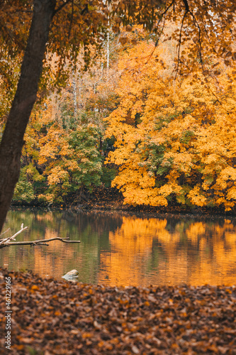 Autumn in the park