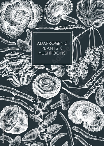 Medicinal plants and mushrooms hand-sketched illustration. Adaptogenic herbs Design on chalkboard. Botanical sketches for traditional medicine, Ayurveda and cosmetics seamless pattern