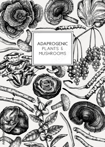 Medicinal plants and mushrooms hand-sketched illustration. Adaptogenic herbs backdrop. Botanical sketches for traditional medicine, Ayurveda and cosmetics seamless pattern