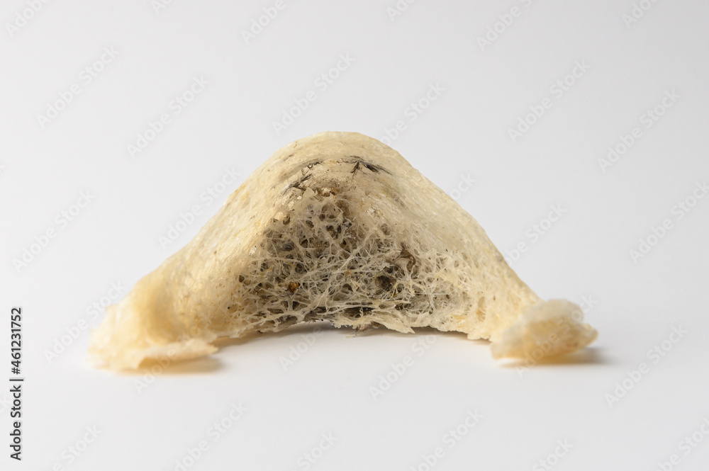 Naklejka premium Chinese Edible Bird Nest isolated white background
