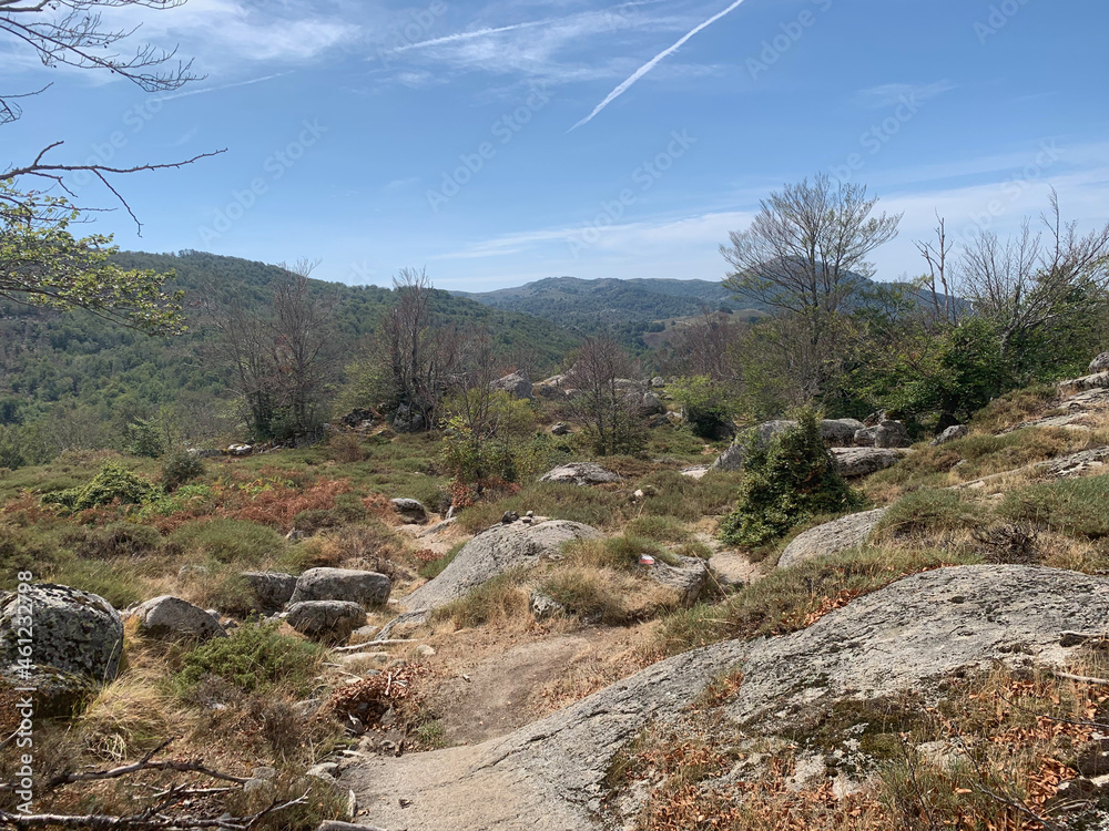 Fototapeta premium Plaine sur le GR20 Sud Corse