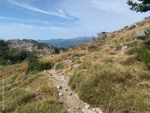 Plaine sur le GR20 Sud Corse