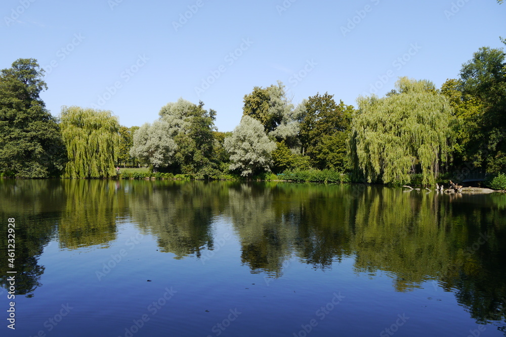 Teich mit Wasserspiegelung Teich mit Wasserspiegelung