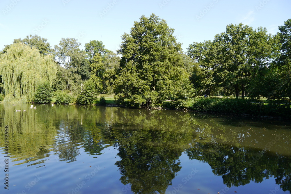 Teich mit Wasserspiegelung in Hannover