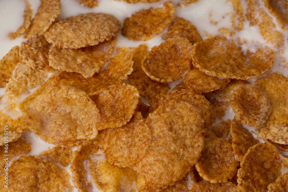 Breakfast of cornflakes with milk closeup Breakfast of cornflakes with milk closeup