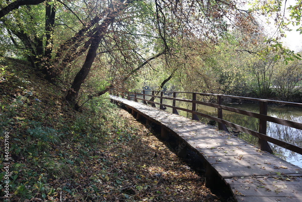Wooden bridge along the river