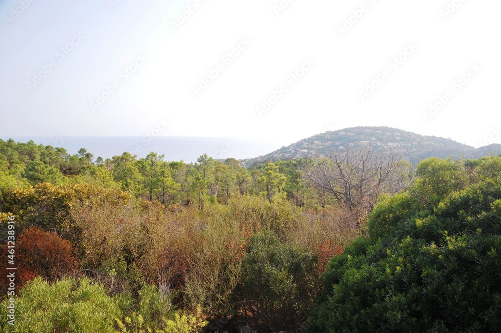 Côte d'Azur (Sud de la France): Mont Roux Côte d'Azur (Sud de la France): Mont Roux