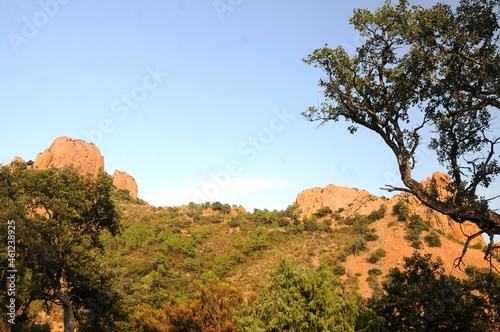 Côte d'Azur (Sud de la France): Mont Roux