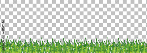 Green grass on transparent background