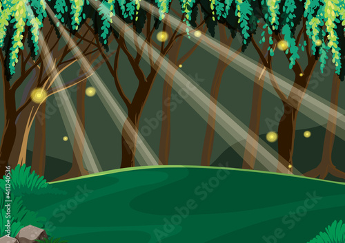 Empty fairytale forest at night