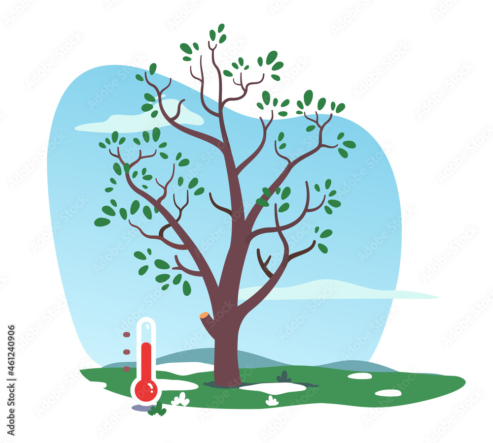 Obraz premium Spring tree plant with growing leaves