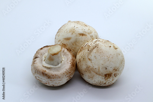 mushrooms on white background