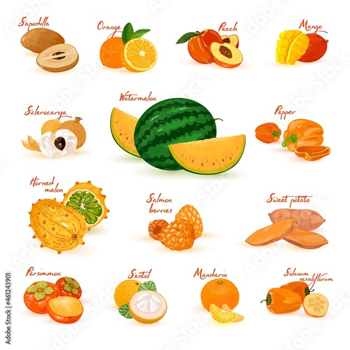 Collection of organic vitaminized food, vegetarian, natural and sweet products. Vector summer products, tasty snack, exotic and tropical eating idea isolated on white background
