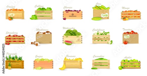 Cartoon collection of fresh and healthy vegetables and fruits in container for export or sale. Vector seasonal garden harvest, organic food. Idea of vegan, summer, vitamins isolated on white