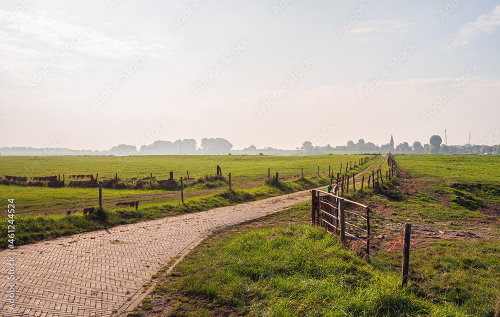 Country road with wheel tracks through the floodplains to the Dutch river Waal in the province of Gelderland. It is still early in the morning at the end of the summer season. Country road with wheel tracks through the floodplains to the Dutch river Waal in the province of Gelderland. It is still early in the morning at the end of the summer season.
