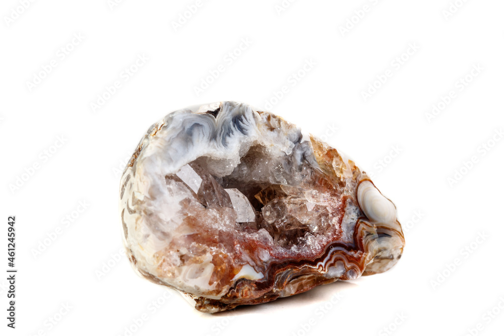 Macro mineral stone agate kidney gerbera on white background close up Macro mineral stone agate kidney gerbera on white background close up