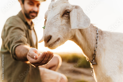 White bristle man in hat feeding goat while working on farm