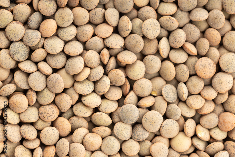 Uncooked Lentil background texture. Full frame Uncooked Lentil background texture. Full frame