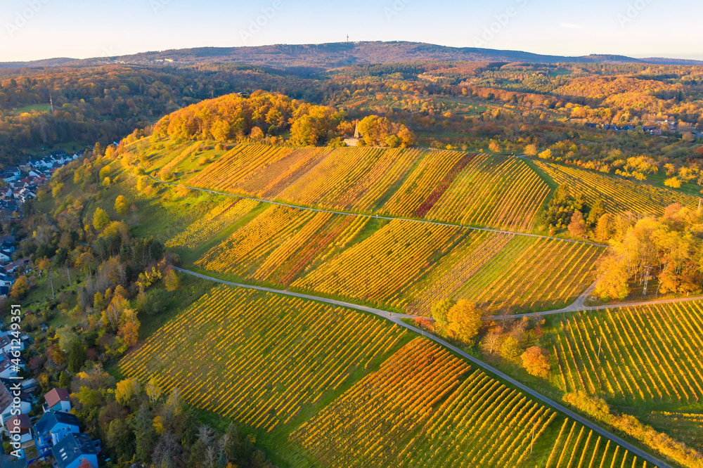 Bird's eye view of a late autumn colored vineyard near Frauenstein / Germany 