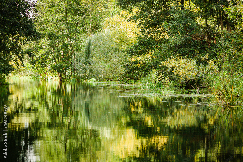 Auf der Spree im Spreewald, märchenhafter Wald mit Spiegelung im Wasser