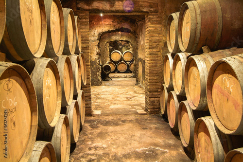 Quadro su tela Bodega Osca en Somontano, acogida a la D