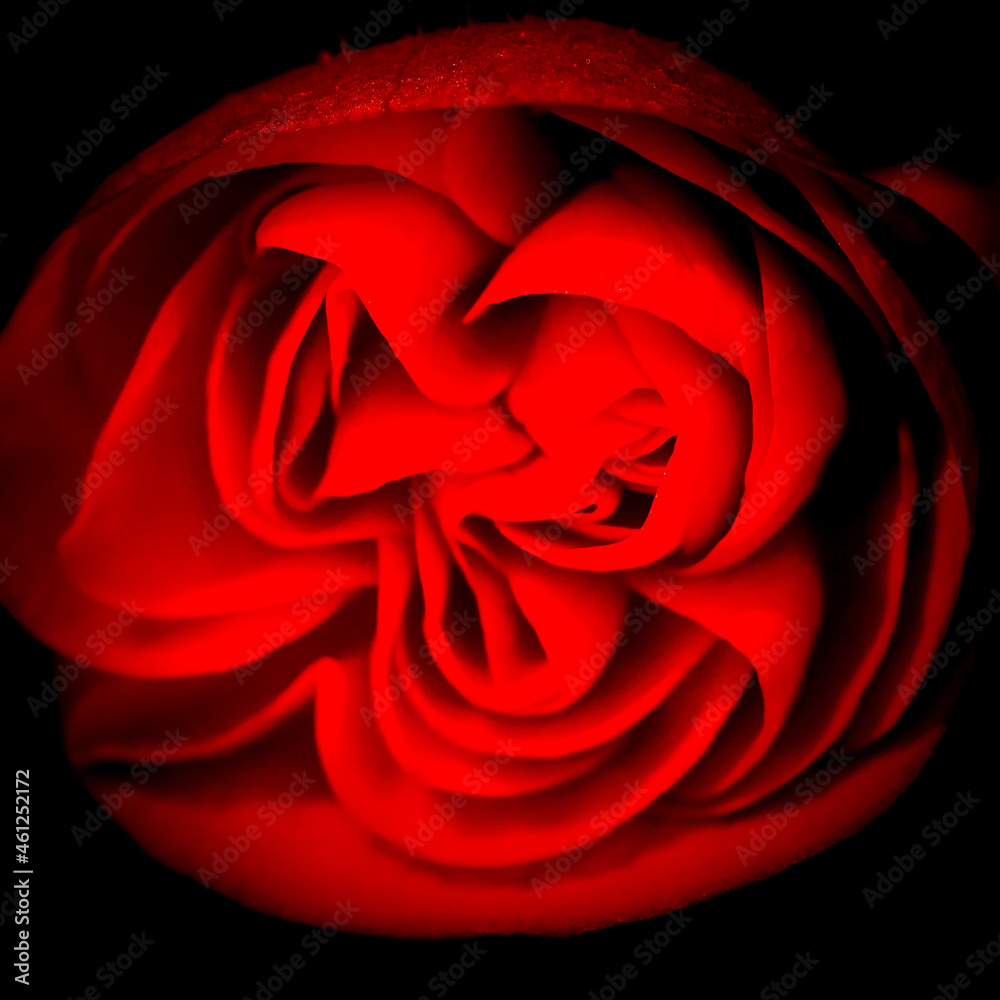 Naklejka premium flower