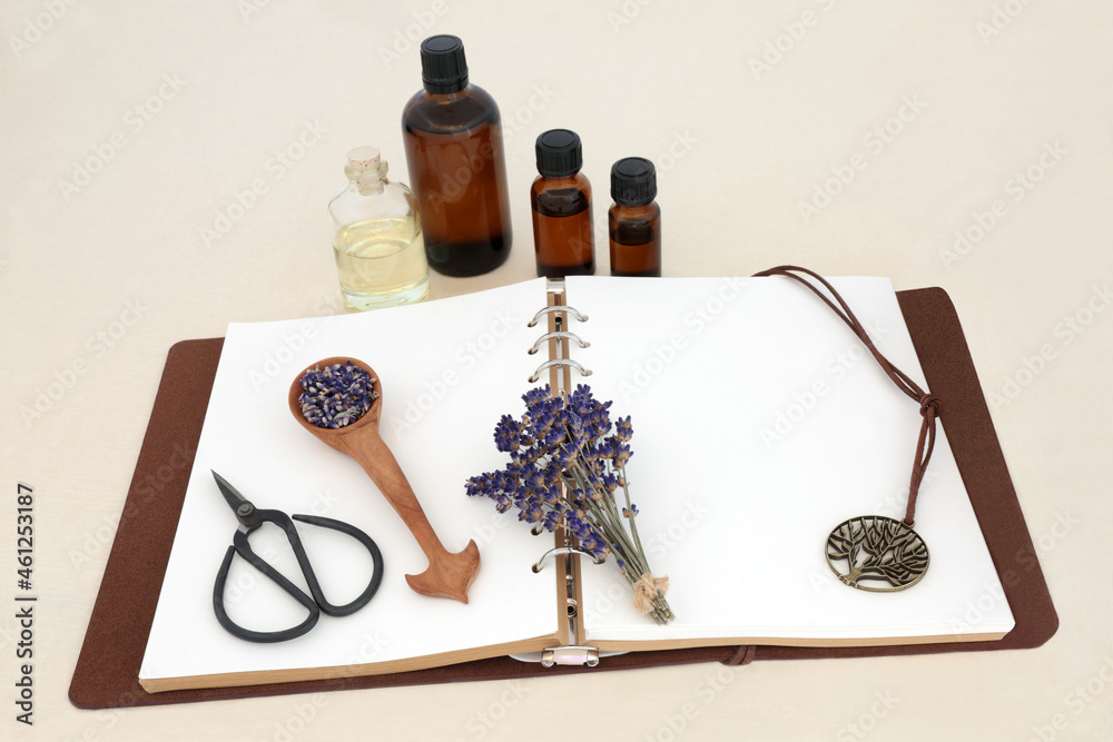 Lavender adaptogen herb flowers used in herbal medicine and